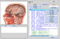 Analizador original de la salud de la descarga gratuita 9D NLS del software del suministro médico proveedor