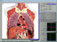 analizador de la salud de 3d Nls, analizador del cuerpo para el centro del examen de la salud proveedor