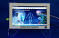Informes Bio-Eléctricos del analizador 38 de la salud del cuerpo de Quantum de la pantalla de Quantouch proveedor