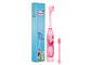 Cepillo de dientes eléctrico de los niños del modelo de la historieta con las cabezas de doble cara del cepillo de dientes proveedor